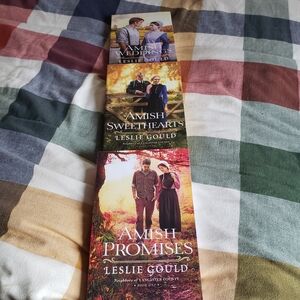 Source Unknown Amish Promises Trilogy by Leslie Gould - Green, Red, Brown